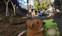 泥娃养殖爆料视频播放